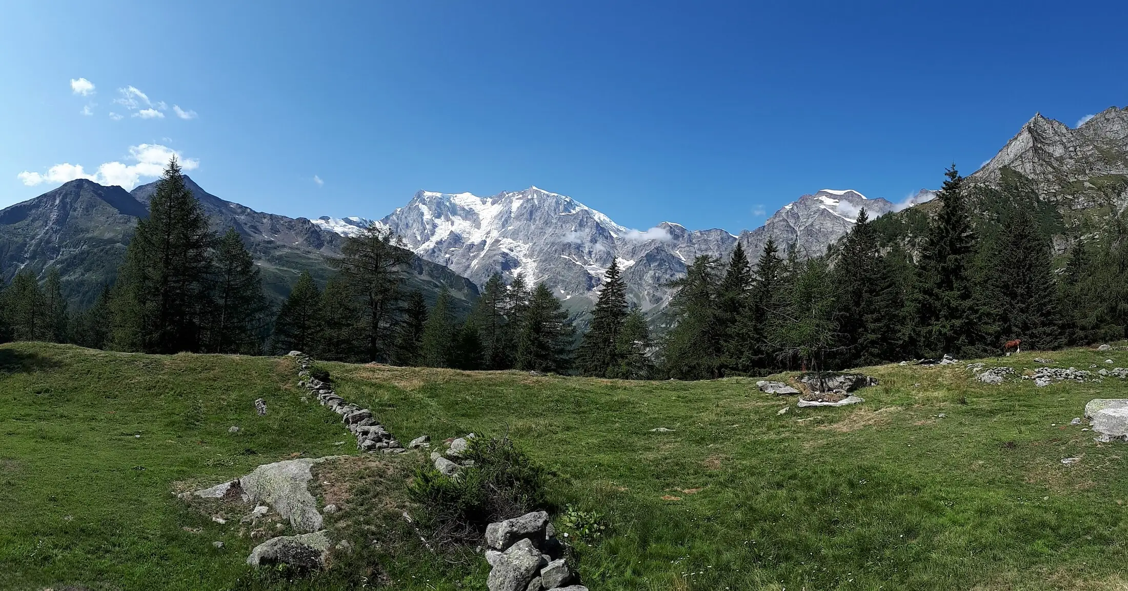 Vista panoramica dell’Alpe Bill a Macugnaga in estate, con verdi pascoli alpini, sentieri escursionistici e le montagne del Monte Rosa sullo sfondo.