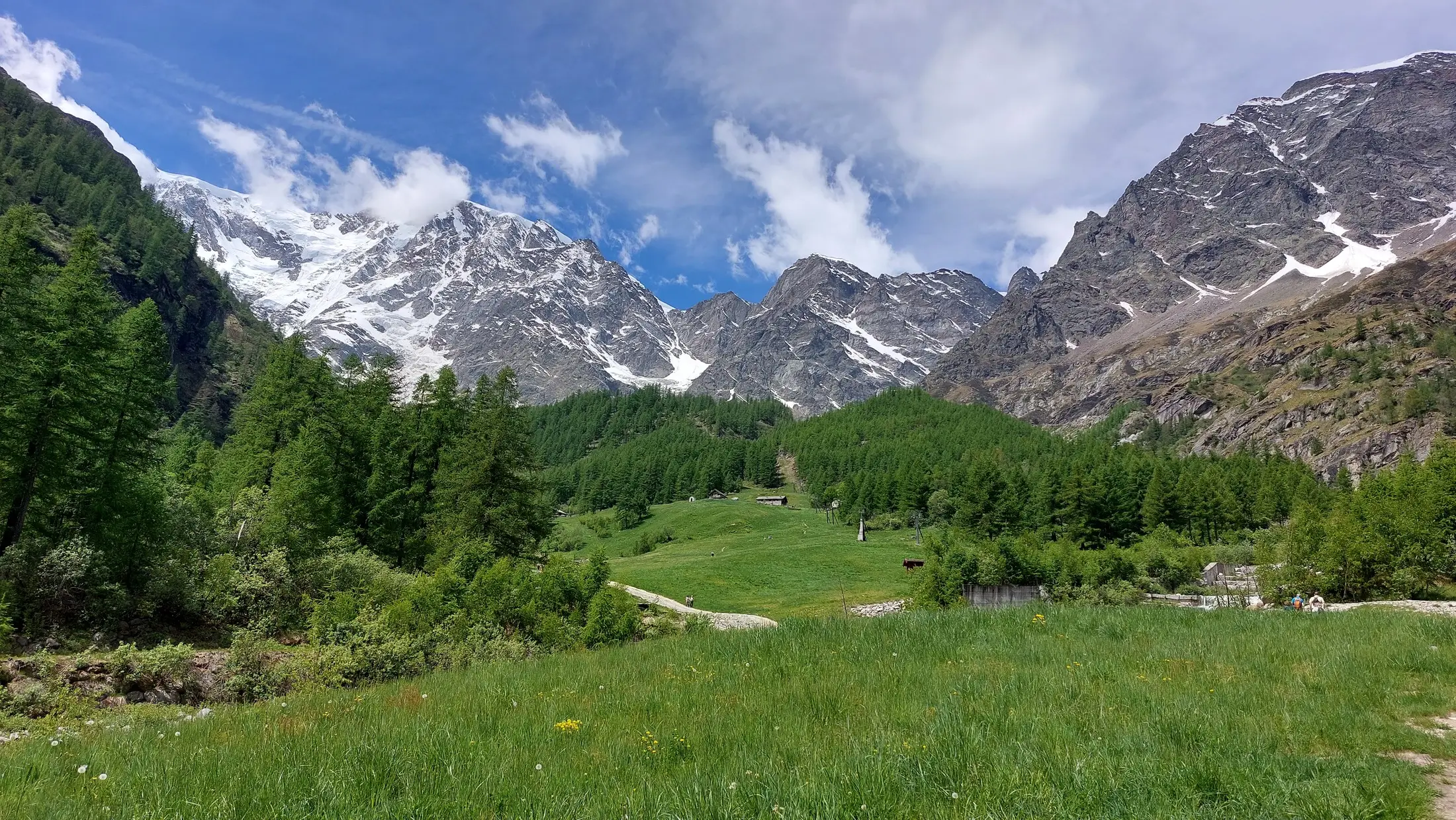 Vista estiva sugli impianti di risalita del Burki a Macugnaga, circondati da verdi pascoli alpini e dalle maestose vette del Monte Rosa.