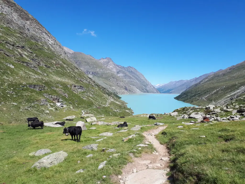 Vista mozzafiato dal Passo del Monte Moro in estate, con montagne imponenti e cielo sereno – Macugnaga, Monte Rosa.